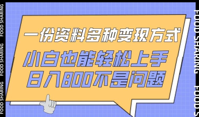 一份资料多种变现方式，小白也能轻松上手，日入800不是问题【揭秘】-富爸爸项目圈