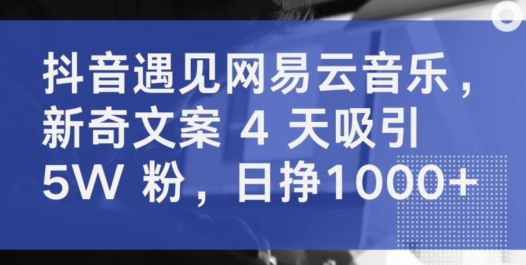 抖音遇见网易云音乐，新奇文案 4 天吸引 5W 粉，日挣1000+【揭秘】-富爸爸项目圈