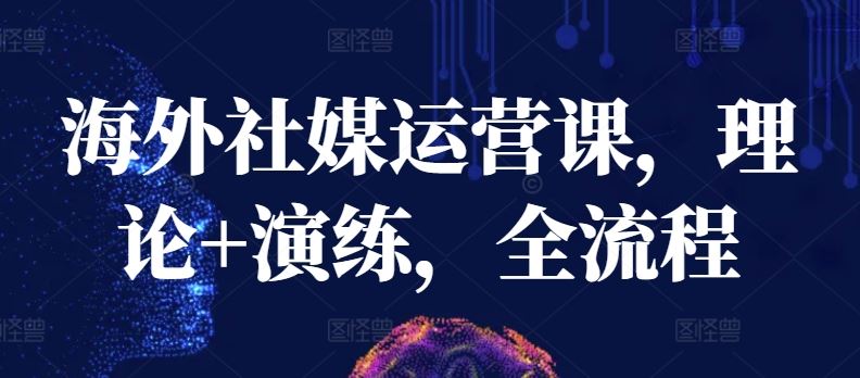 海外社媒运营课，理论+演练，全流程-富爸爸项目圈