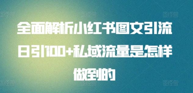 全面解析小红书图文引流日引100+私域流量是怎样做到的【揭秘】-富爸爸项目圈