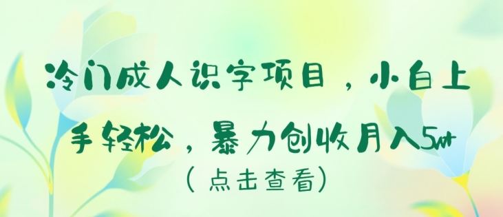 冷门成人识字项目，小白上手轻松，暴力创收月入5w+【揭秘】-富爸爸项目圈