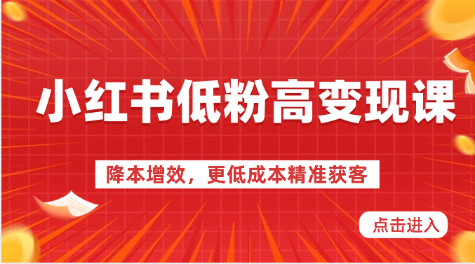 小红书低粉高变现课-降本增效，更低成本精准获客，小红书必爆的流量密码-富爸爸项目圈