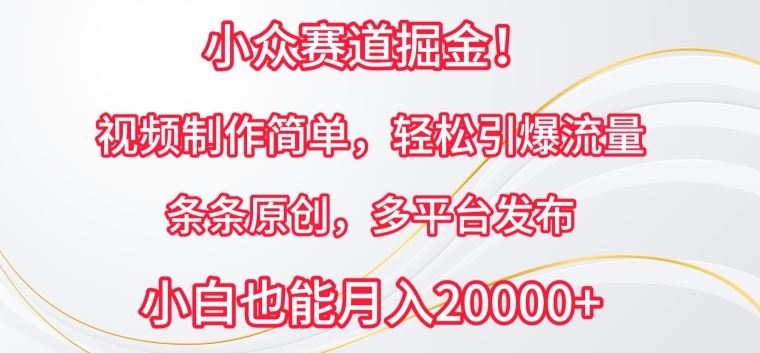 小众赛道掘金，视频制作简单，轻松引爆流量，条条原创，多平台发布【揭秘】-富爸爸项目圈