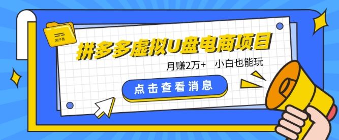 拼多多虚拟U盘电商红利项目：月赚2万+，新手小白也能玩-富爸爸项目圈