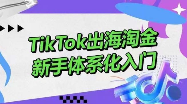 TikTok出海淘金，新手体系化入门，零基础快速入门，掌握短视频、直播带货等引流到变现的知识-富爸爸项目圈