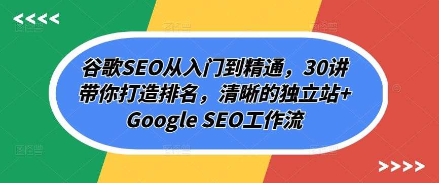 谷歌SEO从入门到精通，30讲带你打造排名，清晰的独立站+Google SEO工作流-富爸爸项目圈