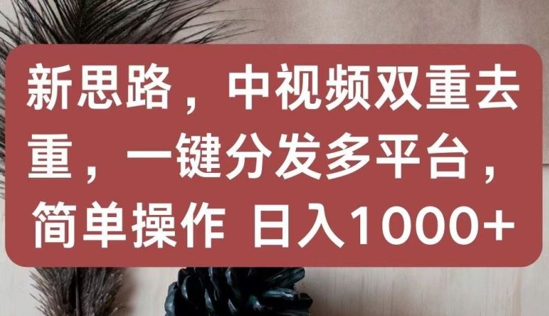新思路，中视频双重去重，一键分发多平台，简单操作，日入1000+【揭秘】-富爸爸项目圈
