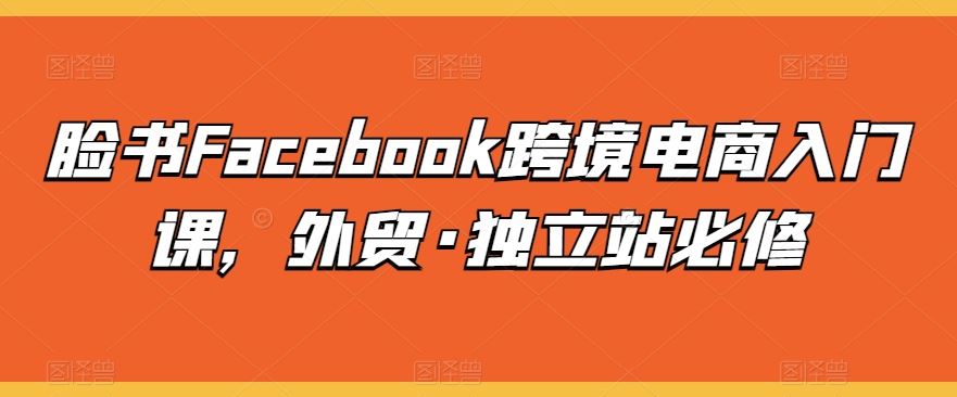 脸书Facebook跨境电商入门课，外贸·独立站必修-富爸爸项目圈