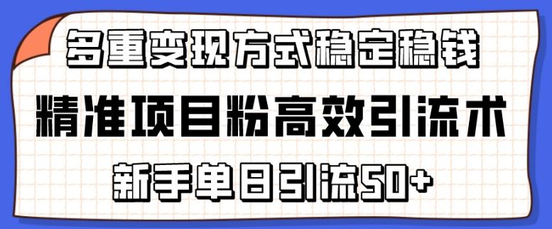 精准项目粉高效引流术，新手单日引流50+，多重变现方式稳定赚钱【揭秘】-富爸爸项目圈