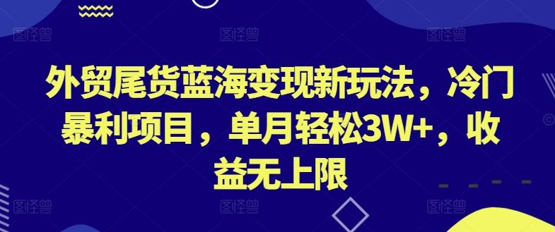 外贸尾货蓝海变现新玩法，冷门暴利项目，单月轻松3W+，收益无上限【揭秘】-富爸爸项目圈