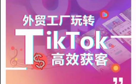 外贸工厂玩转TikTok高效获客，多种引流方式与账号定位技巧，拆解爆款短视频打造成功案例-富爸爸项目圈