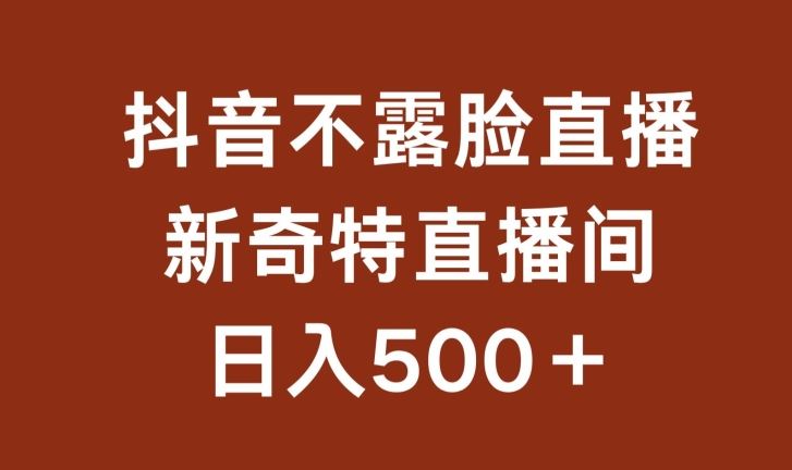 不露脸挂机直播，新奇特直播间，日入500+【揭秘】-富爸爸项目圈