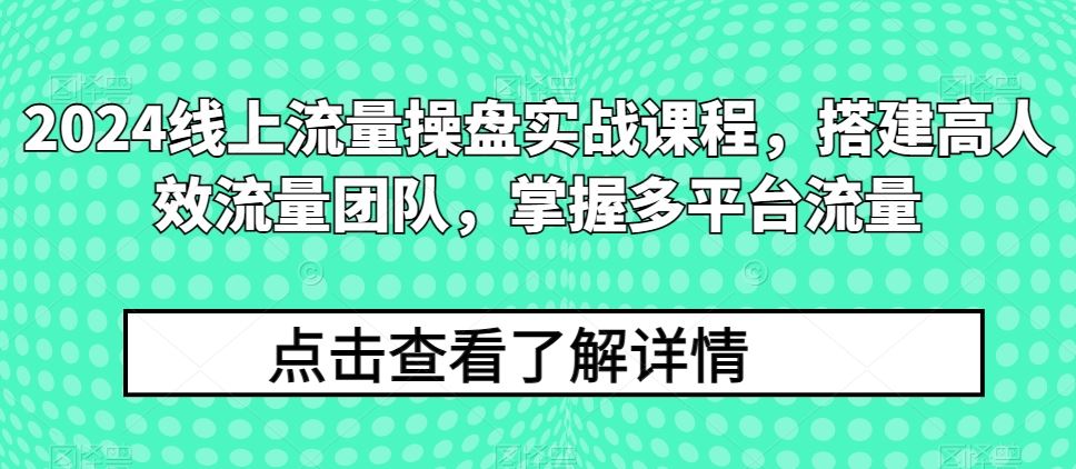 2024线上流量操盘实战课程，搭建高人效流量团队，掌握多平台流量-富爸爸项目圈