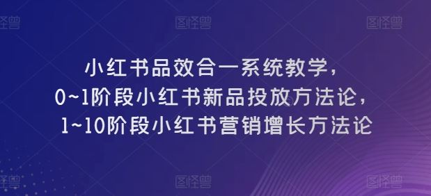 小红书品效合一系统教学，​0~1阶段小红书新品投放方法论，​1~10阶段小红书营销增长方法论-富爸爸项目圈