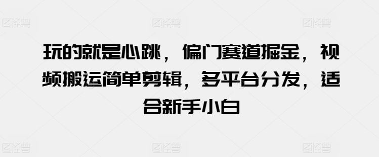 玩的就是心跳，偏门赛道掘金，视频搬运简单剪辑，多平台分发，适合新手小白【揭秘】-富爸爸项目圈
