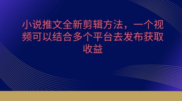 小说推文全新剪辑方法，一个视频可以结合多个平台去发布获取【揭秘】-富爸爸项目圈