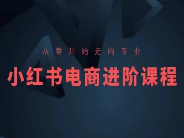 从零开始走向专业，小红书电商进阶课程-富爸爸项目圈