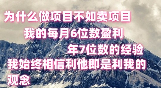 做项目不如卖项目，每月6位数盈利，年7位数经验-富爸爸项目圈
