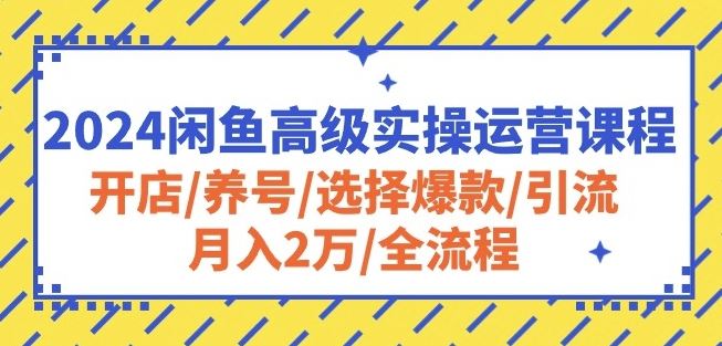 2024闲鱼高级实操运营课程：开店/养号/选择爆款/引流/月入2万/全流程-富爸爸项目圈