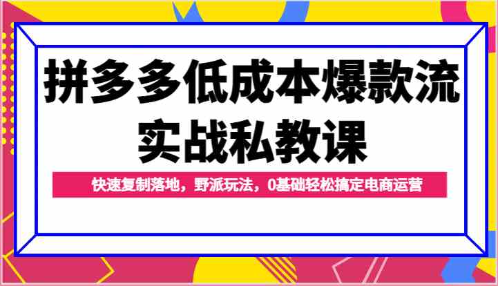 拼多多低成本爆款流实战私教课，快速复制落地，野派玩法，0基础轻松搞定电商运营-富爸爸项目圈