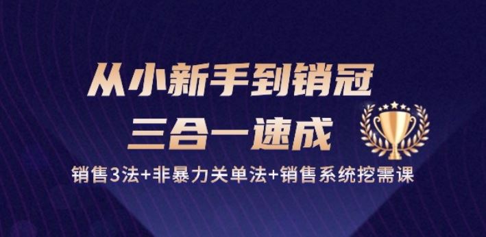 从小新手到销冠 三合一速成：销售3法+非暴力关单法+销售系统挖需课 (27节)-富爸爸项目圈