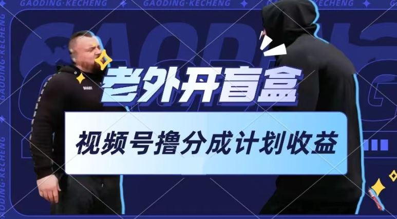 老外开盲盒视频，撸视频号分成计划收益，每天只需一小时，新手小白轻松上手【揭秘】-富爸爸项目圈
