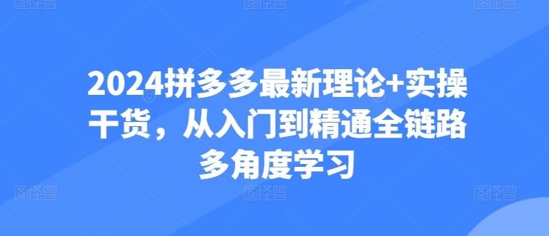 2024拼多多最新理论+实操干货，从入门到精通全链路多角度学习-富爸爸项目圈