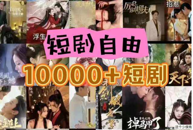 打造完全属于自己的个人短剧库，实现网盘拉新与私域变现的完美融合！-富爸爸项目圈