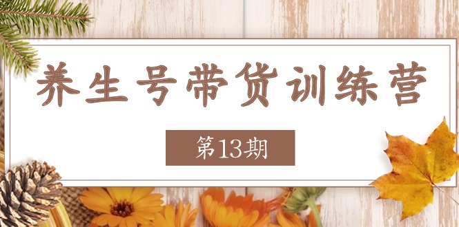 养生号带货训练营【第13期】收益更稳定的玩法，让你带货收益爆炸-富爸爸项目圈