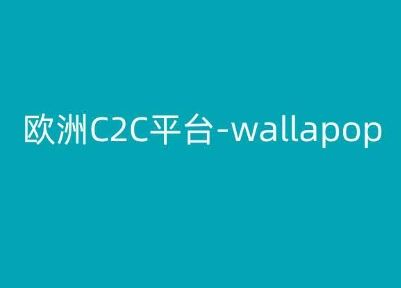 欧洲C2C平台-wallapop-kim跨境电商教程-富爸爸项目圈