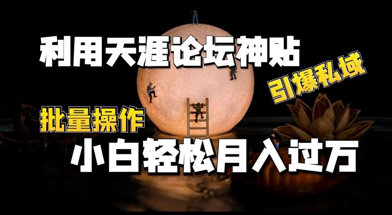 利用天涯论坛神贴，引爆私域，批量操作，小白轻松月入过w【揭秘】-富爸爸项目圈