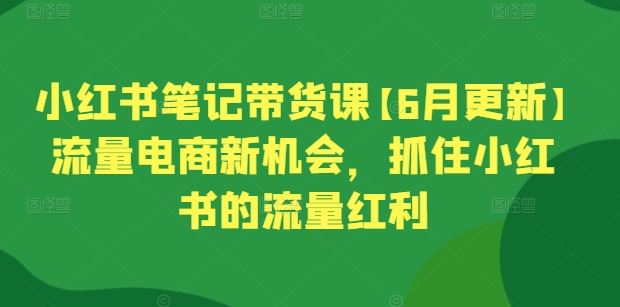 小红书笔记带货课【6月更新】流量电商新机会，抓住小红书的流量红利-富爸爸项目圈