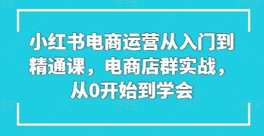 小红书电商运营从入门到精通课，电商店群实战，从0开始到学会-富爸爸项目圈