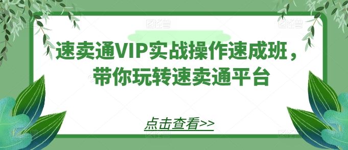 速卖通VIP实战操作速成班，带你玩转速卖通平台-富爸爸项目圈
