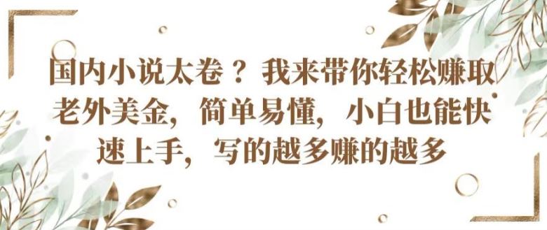 国内小说太卷 ?带你轻松赚取老外美金，简单易懂，小白也能快速上手，写的越多赚的越多【揭秘】-富爸爸项目圈