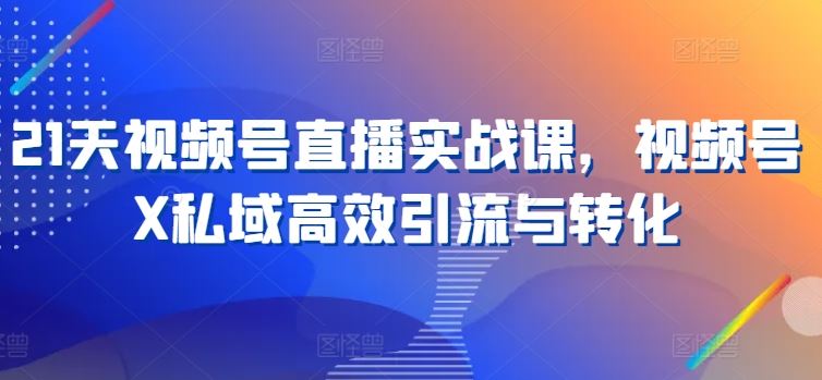 21天视频号直播实战课，视频号X私域高效引流与转化-富爸爸项目圈