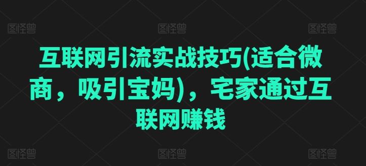 互联网引流实战技巧(适合微商，吸引宝妈)，宅家通过互联网赚钱-富爸爸项目圈