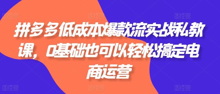 拼多多低成本爆款流实战私教课，0基础也可以轻松搞定电商运营-富爸爸项目圈