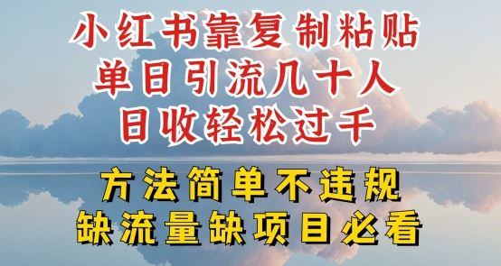 小红书靠复制粘贴单日引流几十人目收轻松过千，方法简单不违规【揭秘】-富爸爸项目圈