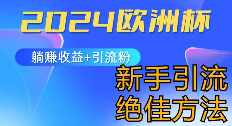 2024欧洲杯风口的玩法及实现收益躺赚+引流粉丝的方法，新手小白绝佳项目【揭秘】-富爸爸项目圈