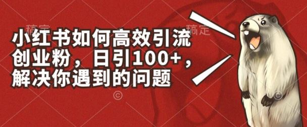 小红书如何高效引流创业粉，日引100+，解决你遇到的问题【揭秘】-富爸爸项目圈