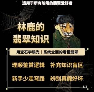 林鹿的翡翠知识，​用宝石眼光，系统全面的看懂翡翠-富爸爸项目圈