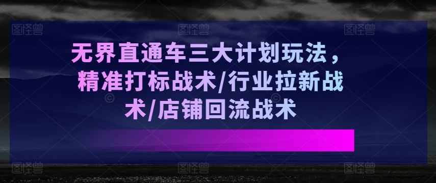 无界直通车三大计划玩法，精准打标战术/行业拉新战术/店铺回流战术-富爸爸项目圈