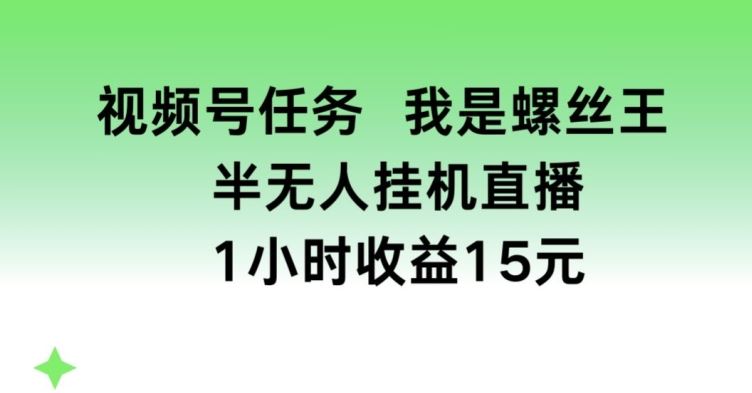 视频号任务，我是螺丝王， 半无人挂机1小时收益15元【揭秘】-富爸爸项目圈