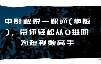 电影解说一课通(绝版)，带你轻松从0进阶为短视频高手-富爸爸项目圈