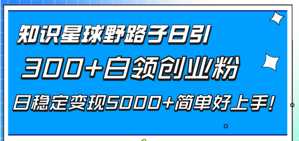 （8315期）知识星球野路子日引300+白领创业粉，日稳定变现5000+简单好上手！-富爸爸项目圈