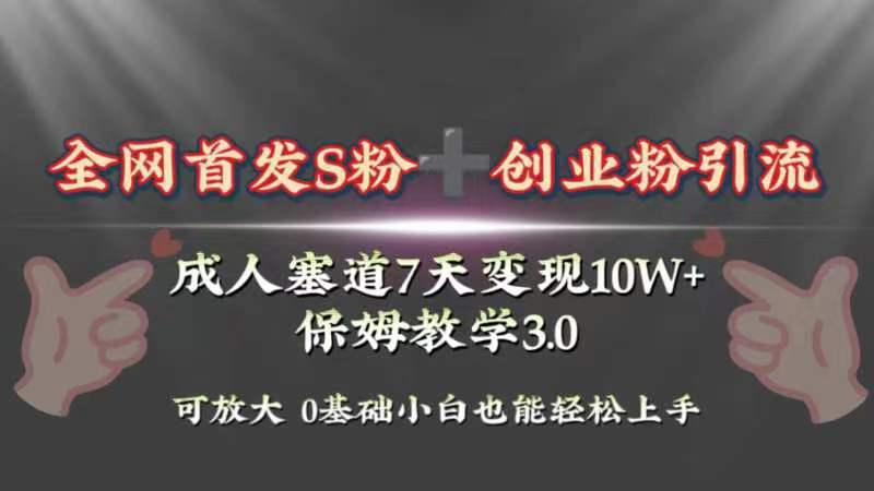 （8337期）全网首发s粉加创业粉引流变现，成人用品赛道7天变现10w+保姆教学3.0-富爸爸项目圈