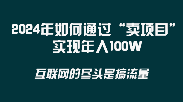 （8382期） 2024年如何通过“卖项目”实现年入100W-富爸爸项目圈