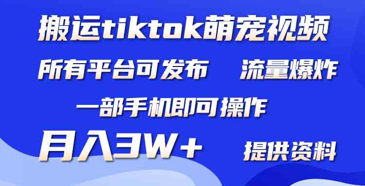 （9618期）搬运Tiktok萌宠类视频，一部手机即可。所有短视频平台均可操作，月入3W+-富爸爸项目圈