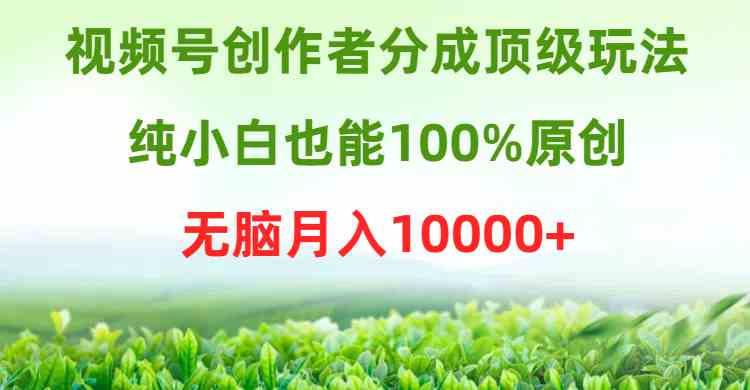 （9608期）视频号创作者分成顶级玩法，纯小白也能100%原创，无脑月入10000+-富爸爸项目圈